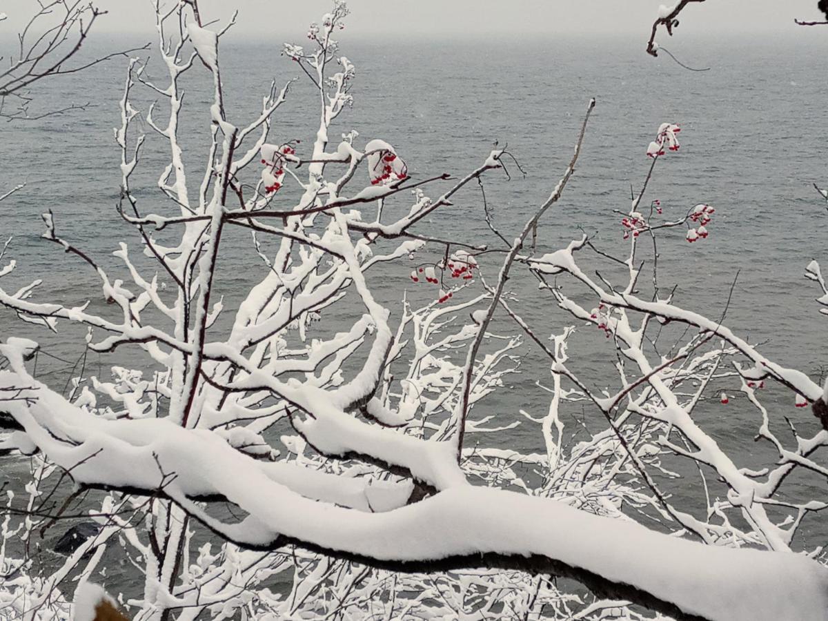 Cliff Dweller On Lake Superior Tofte Eksteriør billede